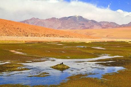 La conquistadora de Chile. Ines Suarez La conquistadora de Chile. Ines Suarez