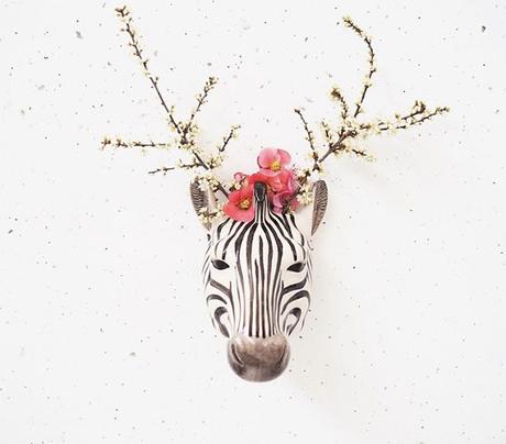 DECORACION Y CAPRICHOS.-