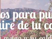 Consejos para Purificar Aire Casa