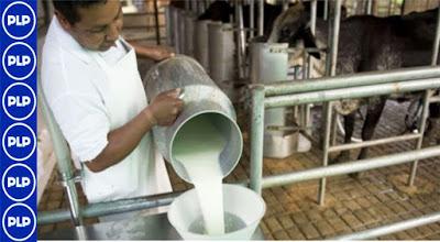 GRL POTENCIA LA PRODUCCIÓN  LECHERA Y DERIVADOS LÁCTEOS…