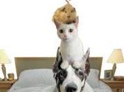 Últimas lecturas David Safier, Alice Kellen Rina