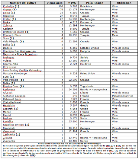 Aplicación de la Genética al estudio de la vid