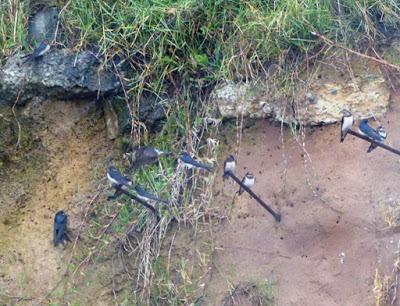 Atrapadas en el temporal