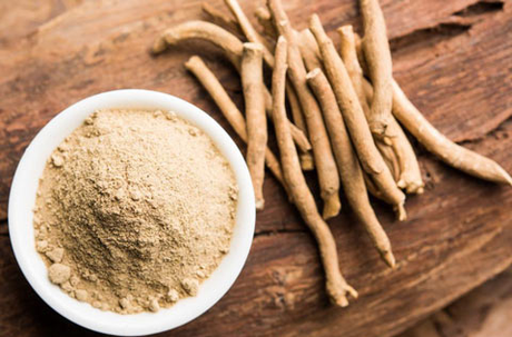 Ashwagandha Ashwagandha, como te ayudara