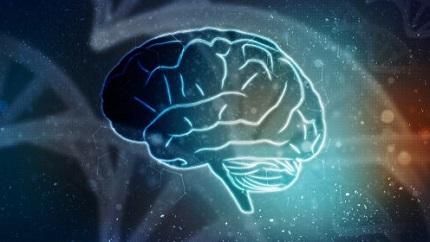 Funcionamiento del cerebro e Inteligencia Artificial Funcionamiento del cerebro e Inteligencia Artificial