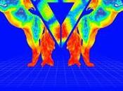 Curtocircuito: busca nuevos lenguajes