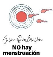 Off the topic: De como conocer mi ciclo me hizo QUERERME MÁS.