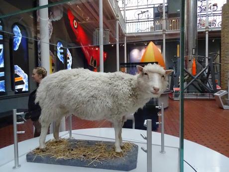 6 curiosidades del Museo Nacional de Escocia en Edimburgo: La mejor forma de entretener a los niños cuando llueve. 6 curiosidades del Museo Nacional de Escocia en Edimburgo: La mejor forma de entretener a los niños cuando llueve.