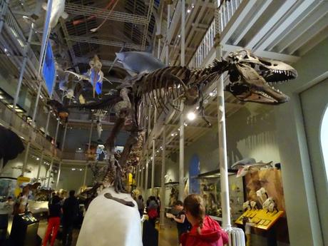 6 curiosidades del Museo Nacional de Escocia en Edimburgo: La mejor forma de entretener a los niños cuando llueve. 6 curiosidades del Museo Nacional de Escocia en Edimburgo: La mejor forma de entretener a los niños cuando llueve.