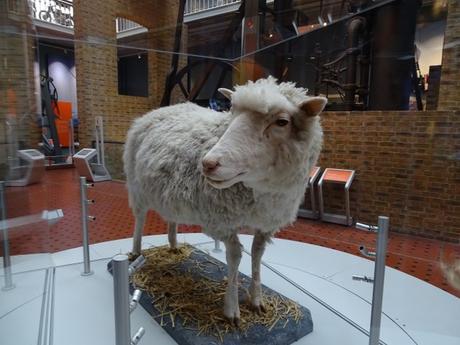6 curiosidades del Museo Nacional de Escocia en Edimburgo: La mejor forma de entretener a los niños cuando llueve. 6 curiosidades del Museo Nacional de Escocia en Edimburgo: La mejor forma de entretener a los niños cuando llueve.