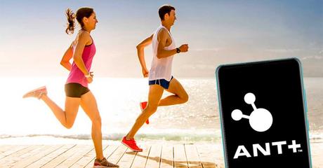 Conoce si tu móvil es compatible con ANT+ ¿sabes para qué sirve? Conoce si tu móvil es compatible con ANT+ ¿sabes para qué sirve?