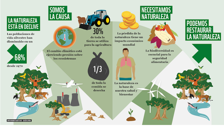 IPV 2020 de WWF analiza la preocupante pérdida de biodiversidad