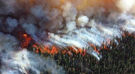 La humanidad está perdiendo la carrera contra el calentamiento global Incendios devastadores en Siberia, verano 2019