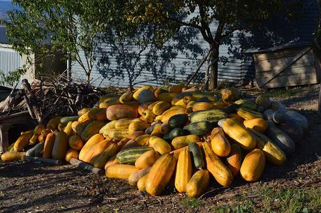 Las barrancas de Santalla – Ruta para todas las edades