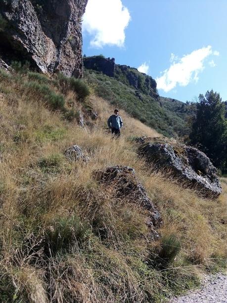 Fotos realizadas por Alberto M. Fernández.Lunes 12 de