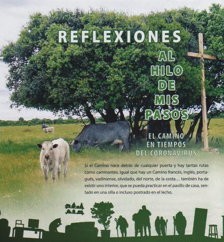 El Senderín, octubre de 2020, Nº 38, de la segunda época El Senderín, octubre de 2020, Nº 38, de la segunda época