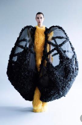 Un aspecto otoñal Un aspecto otoñal