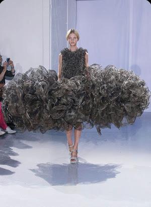 Un aspecto otoñal Un aspecto otoñal