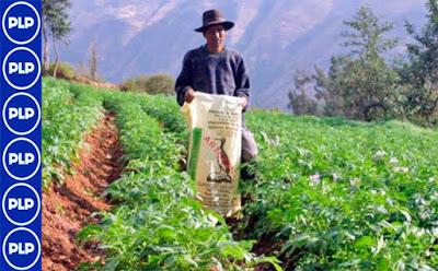 En Cañete: GRL IMPULSA EL INCREMENTO DE CULTIVOS Y LA CALIDAD DE LAS COSECHAS…