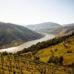 Qué ver en el Valle del Douro Portugal - Qué ver en el Valle del Douro