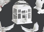 ¿Qué tamaño tiene jaula?