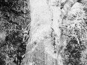 Cubilón Monte