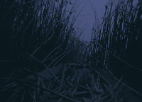 Cinecritica: Post Tenebras Lux