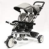 QPLAY - Triciclo Bebe Gemelar Gris - Evolutivo - Plegable - Barra de Seguridad y Cinturones - Ideal...