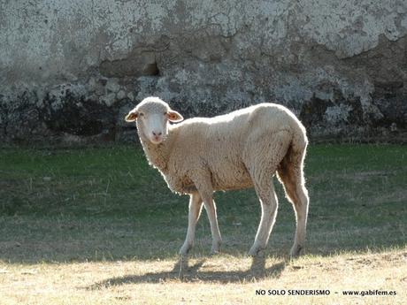 Ruta de Las Corralas
