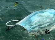 Rewinder “rewinders” logran 15.000.000 mascarillas desechables lleguen