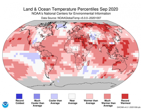 ¡El 2020 sigue dando de qué hablar! Es hasta ahora el segundo año más cálido en los registros históricos