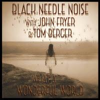 Black Needle Noise versiona What a wonderful world