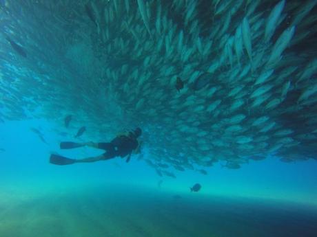Trabajar como instructor de buceo. Cómo conseguirlo Trabajar como instructor de buceo. Cómo conseguirlo