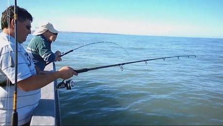 Turismo y Pesca en el mar argentino: Pehuen Co.