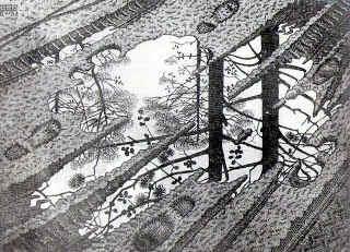 Invisible - Invisible (1974) Invisible - Invisible (1974)