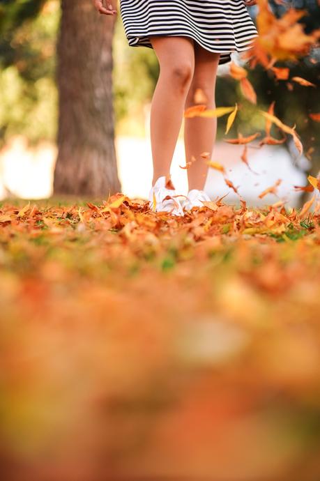 Leaves and stripes Leaves and stripes