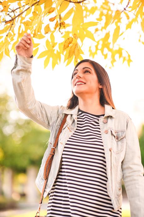 Leaves and stripes Leaves and stripes