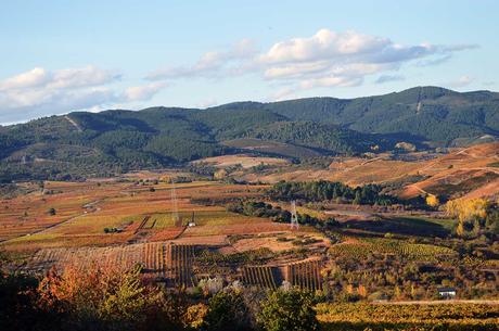 Ruta por el Castro Ventosa en otoño, un caleidoscopio  de colores para disfrutar de El Bierzo en estado puro