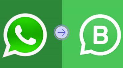 Todo lo que puedes hacer con WhatsApp Business para hacer crecer tu negocio gratis