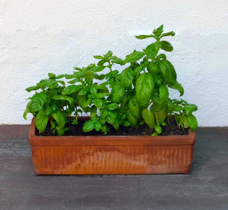 #NuevaRealidad (Fin de ciclo.)