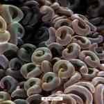 Cuaderno de bitácora día 4: Buceando en Padang Bay Cuaderno de bitácora día 4: Buceando en Padang Bay