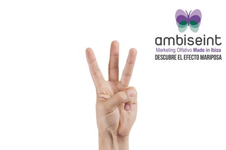 Ambiseint continúa con su alto ritmo de crecimiento Ambiseint continúa con su alto ritmo de crecimiento