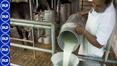 GRL PROMUEVE EL CRECIMIENTO DE SECTOR PRODUCTIVO LÁCTEO…