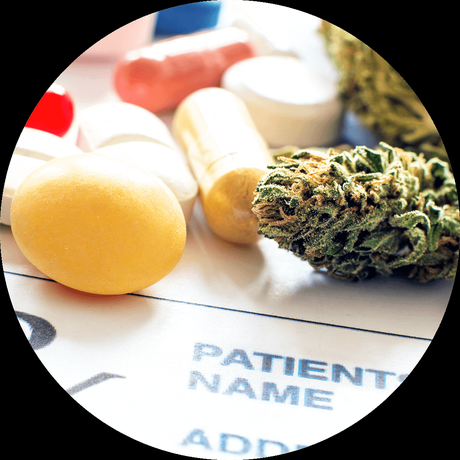 Curso online: Introducción al Cannabis medicinal y los Cannabinoides aplicados al Cáncer