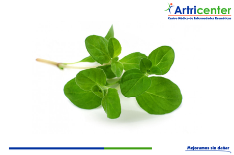 Beneficios de la mejorana