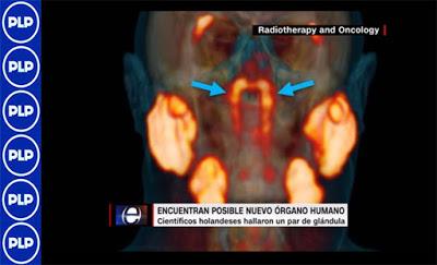 ENTÉRATE SOBRE EL NUEVO ÓRGANO EN LA GARGANTA HUMANA...