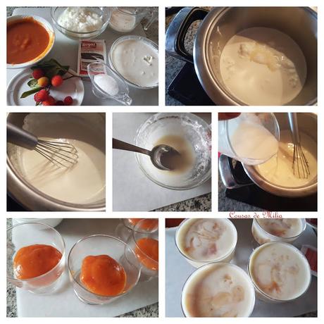 Panna cotta de yogur con coulis de madroños Panna cotta de yogur con coulis de madroños
