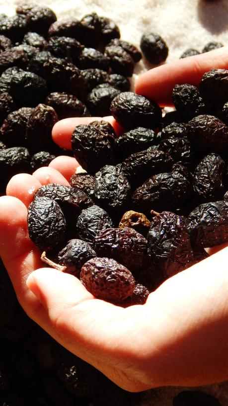 aceitunas negras griegas curar olivas