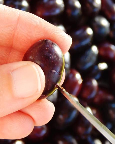 aceitunas negras griegas curar olivas