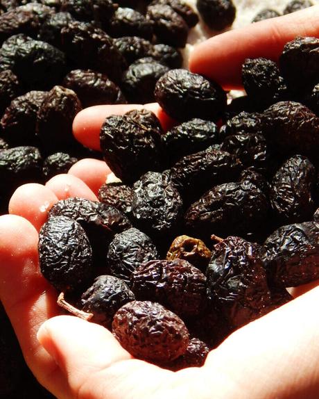 aceitunas negras griegas curar olivas